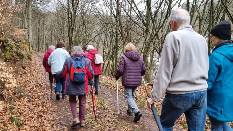 Menschen gehen im Wald spazieren