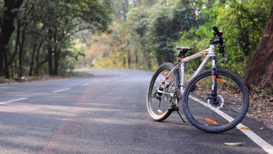 Ein Fahrrad steht am Rand einer asphaltierten Straße im Wald. 