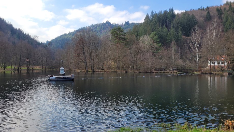 Eine kleine Plattform schwimmt auf einem See, dahinter Bäume und blauer Himmel.