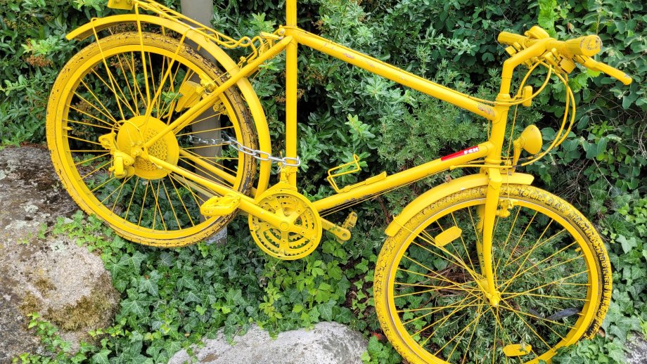 Ein komplett gelb-bemaltes Fahrrad steht schräg an einem Mast vor grünen Büschen. 