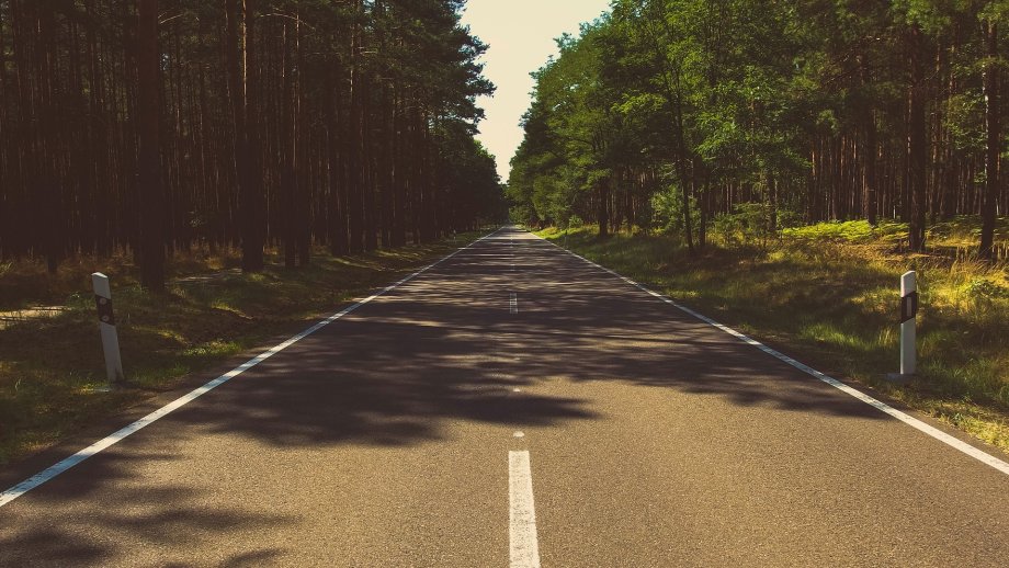 Eine schnurgerade Landstraße im Wald. 