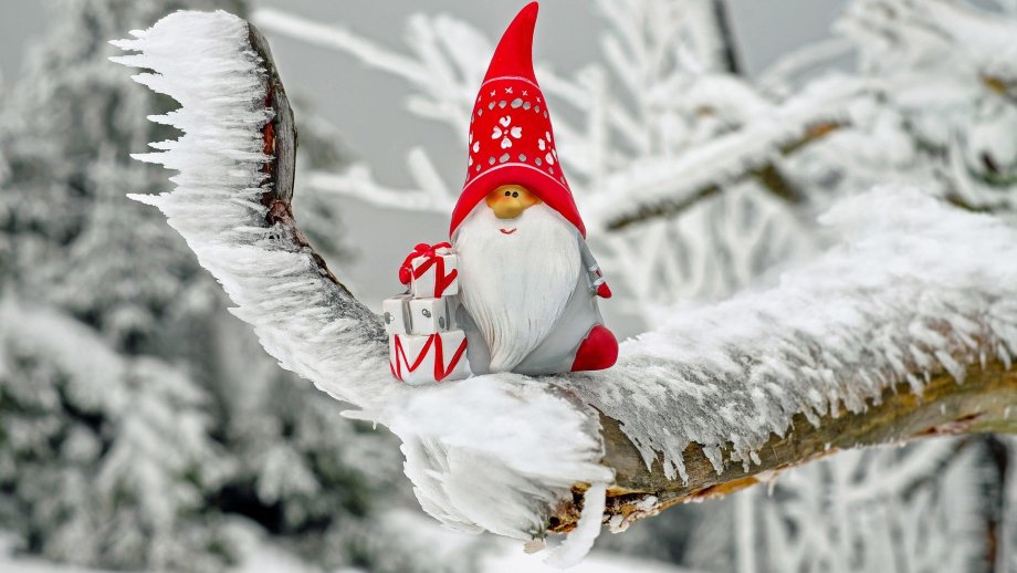 Ein Weihnachtswichtel mit weißem Bart und roter Mütze sitzt auf einem Ast. Der Ast und der Hintergrund sind von Schnee und Frostkristallen bedeckt